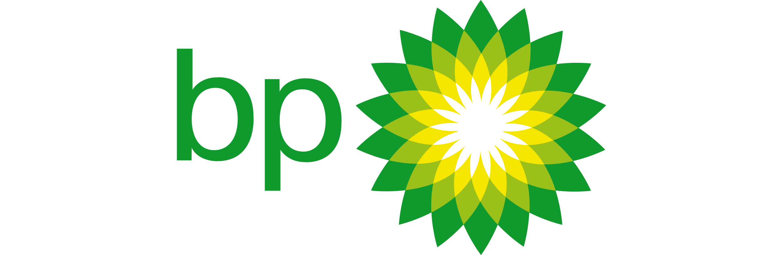 BP Petrolleri A.Ş.